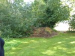 The overgrown scrub and pile of grass cuttings/leaves to be cleared