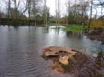 Flooding at Monxton Mill